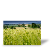 FEEDBACK_KEYWORD_DEFAULT Evaluation de Remi J.
