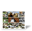FEEDBACK_KEYWORD_DEFAULT Bewertung von Sandra R.