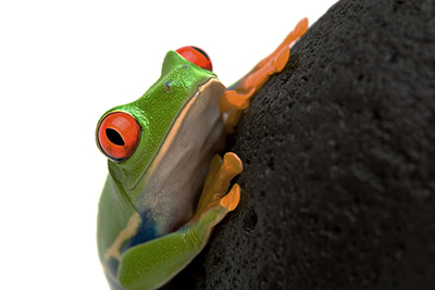 foto kontrast und helligkeit einstellen original