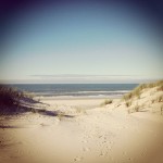 Earlybird Instagram 150×1501