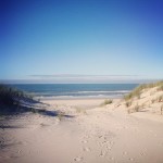 Sierra Instagram 150×1501