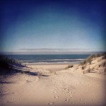 Sutro Instagram 150×1501