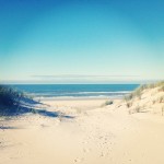 Walden Instagram 150×1501