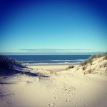 X Pro II Instagram 150×1501