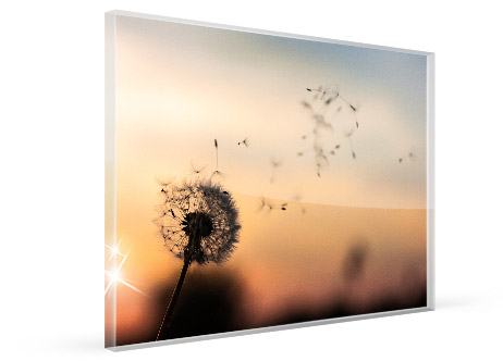 bilder fuer hotelzimmer acrylglas ansicht